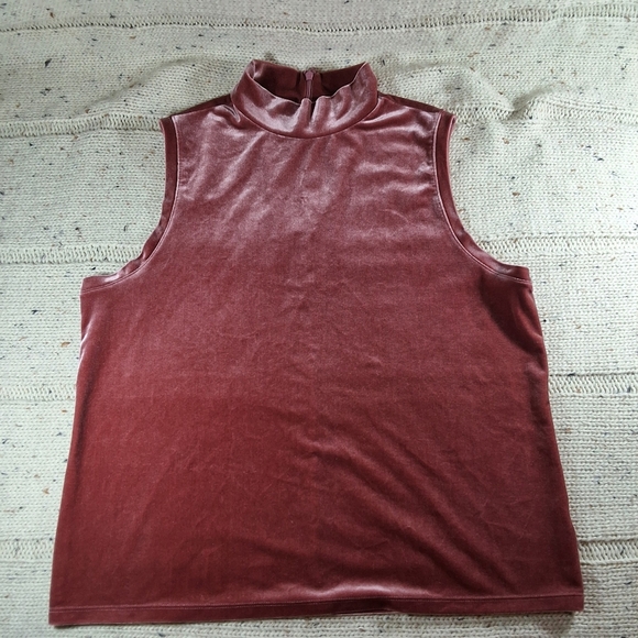 Velvet Sleeveless Top in Burgundy - Picture 1 of 4
